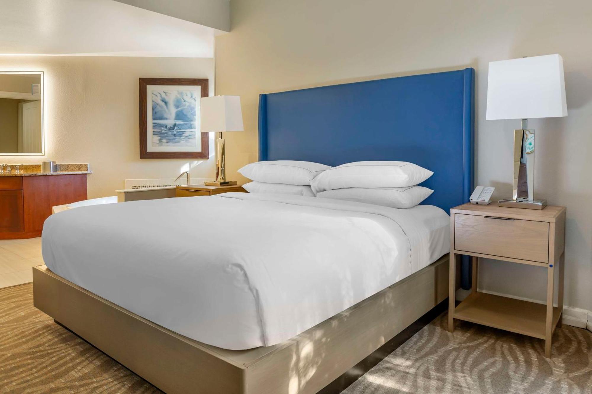 Hilton Grand Vacations Club Seaworld Orlando 3* Williamsburg