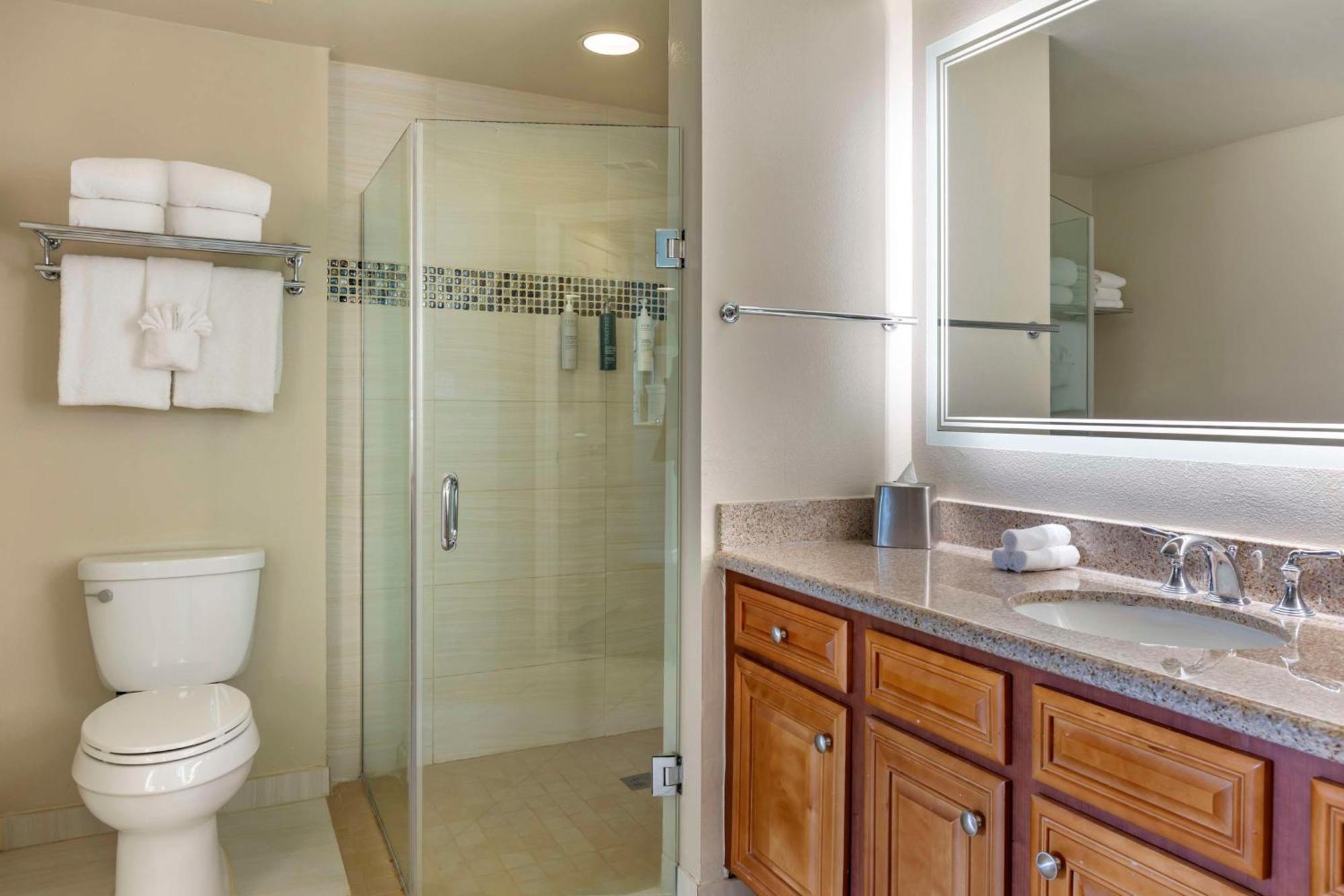 Resort Hilton Grand Vacations Club Seaworld Orlando